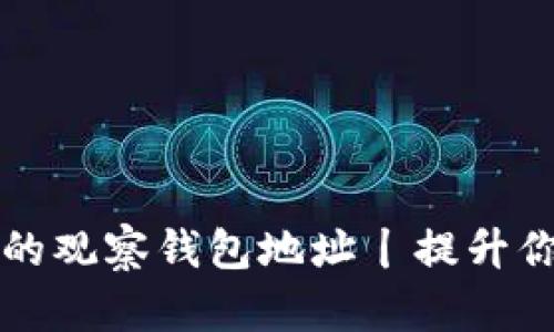 如何快速找到TP钱包的观察钱包地址丨提升你的数字资产管理效率
