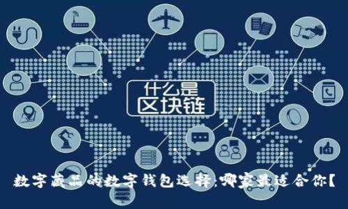 数字藏品的数字钱包选择：哪家最适合你？