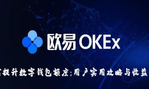 如何提升数字钱包额度：用户实用攻略与收益分析