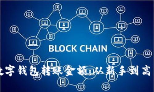 如何设置数字钱包转账金额：从新手到高手的全解析