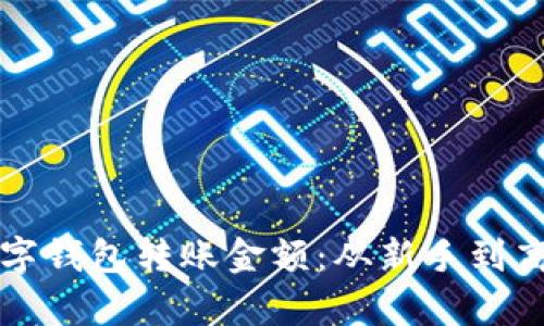 如何设置数字钱包转账金额：从新手到高手的全解析