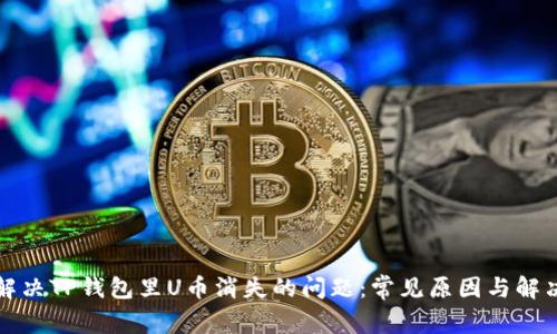 如何解决TP钱包里U币消失的问题：常见原因与解决方案