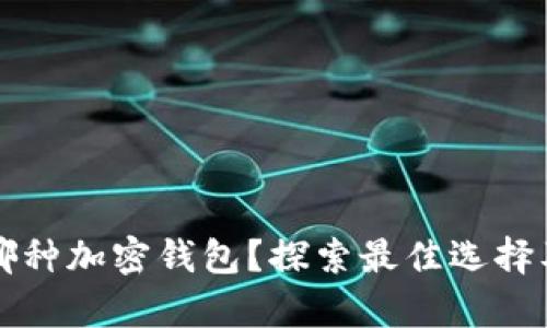 丹麦人使用哪种加密钱包？探索最佳选择及安全性分析