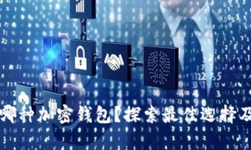 丹麦人使用哪种加密钱包？探索最佳选择及安全性分析