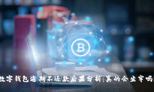 数字钱包逾期不还款后果分析:真的会坐牢吗?