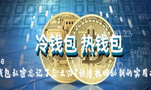 Title
TP钱包私密忘记了怎么办？快速找回秘钥的实用指南