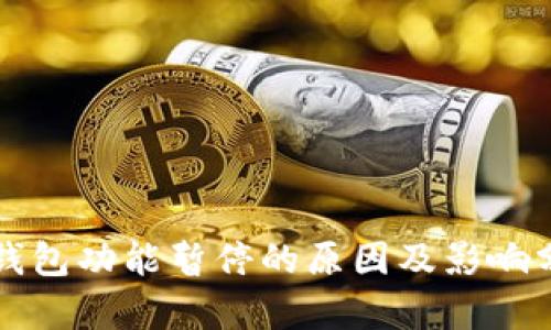 TP钱包功能暂停的原因及影响分析