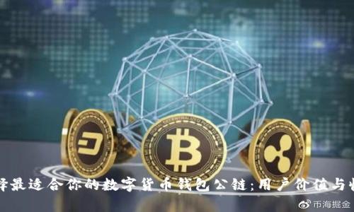 如何选择最适合你的数字货币钱包公链:用户价值与收益分析