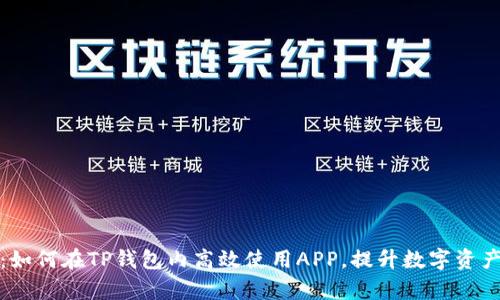 全面指南:如何在TP钱包内高效使用APP,提升数字资产管理效率