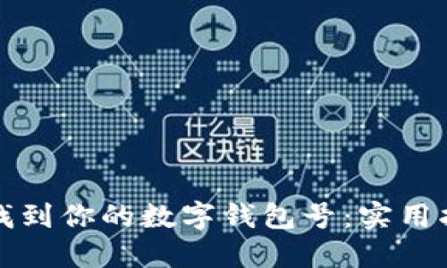 如何轻松找到你的数字钱包号：实用指南与技巧