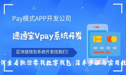 如何查看微信零钱数字钱包：简单步骤与实用技巧