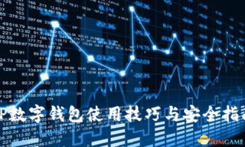 TP数字钱包使用技巧与安全指南