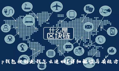 t p钱包被划走钱怎么追回？详细解读与有效方法