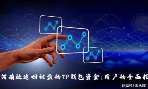 如何有效追回被盗的TP钱包资金：用户的全面指南