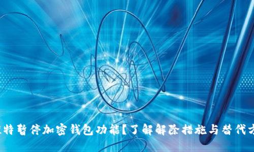 推特暂停加密钱包功能?了解解除措施与替代方案