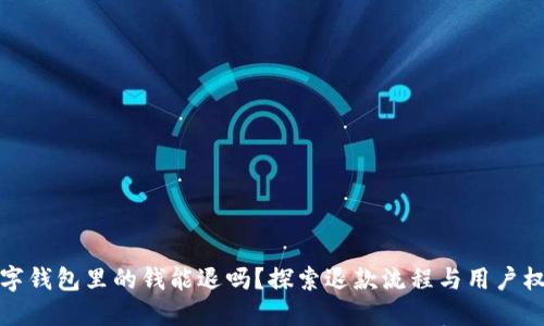 数字钱包里的钱能退吗?探索退款流程与用户权益
