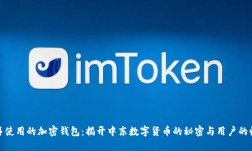 迪拜使用的加密钱包:揭开中东数字货币的秘密与用户的收益