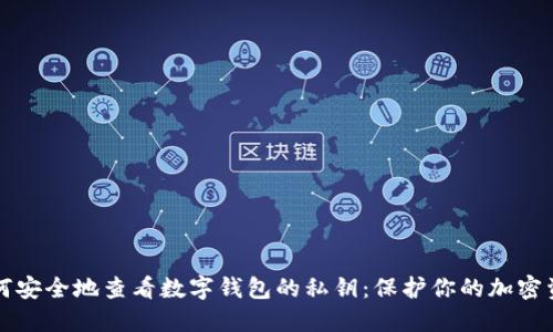 如何安全地查看数字钱包的私钥：保护你的加密资产