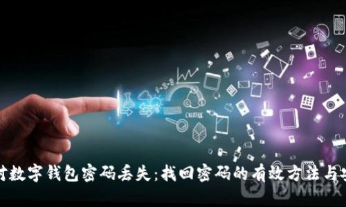 如何应对数字钱包密码丢失：找回密码的有效方法与安全建议