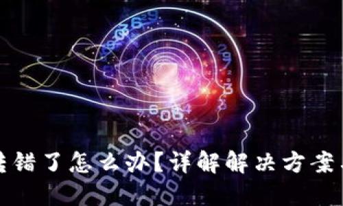 TP钱包币转错了怎么办？详解解决方案与应对策略