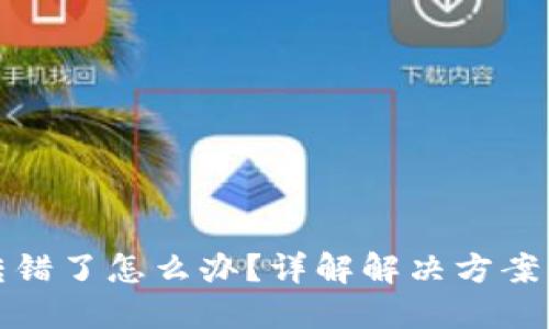 TP钱包币转错了怎么办？详解解决方案与应对策略