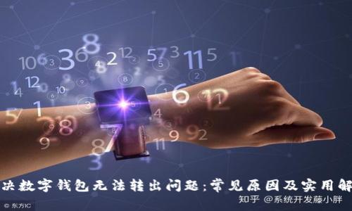 如何解决数字钱包无法转出问题：常见原因及实用解决方案