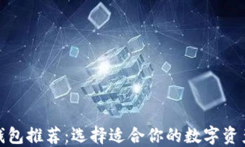 
最佳数字钱包推荐：选择适合你的数字资产保管方案
