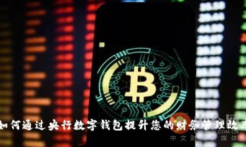 如何通过央行数字钱包提升您的财务管理效率