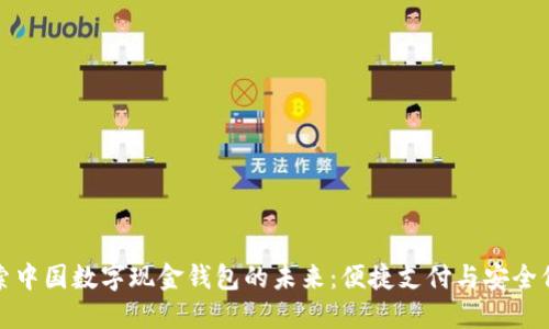 探索中国数字现金钱包的未来:便捷支付与安全保障
