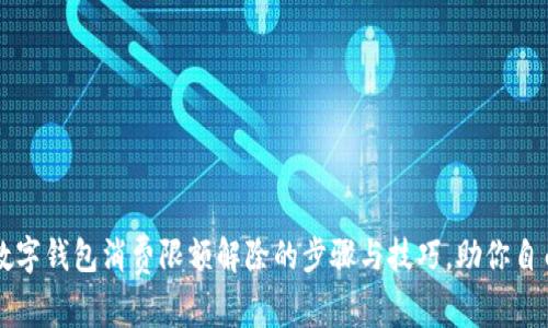 揭秘数字钱包消费限额解除的步骤与技巧，助你自由消费