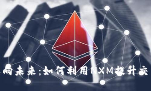 : 数字钱包逐步迈向未来：如何利用NXM提升交易安全性与便捷性
