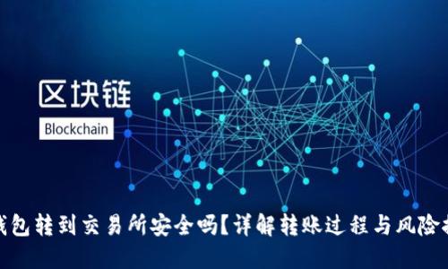 TP钱包转到交易所安全吗？详解转账过程与风险控制