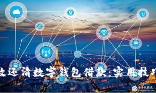 如何有效还清数字钱包借款：实用技巧与建议