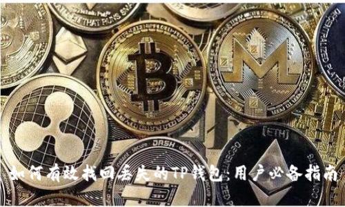 如何有效找回丢失的TP钱包：用户必备指南