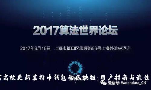如何高效更新莱特币钱包的区块链：用户指南与最佳实践
