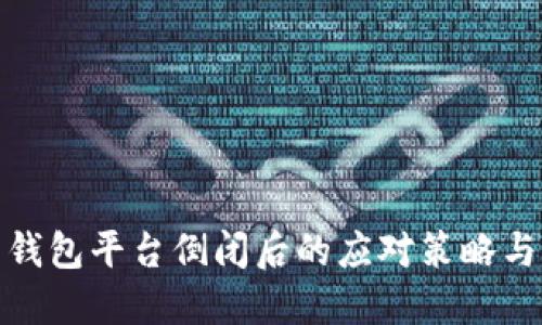 数字货币钱包平台倒闭后的应对策略与风险管理