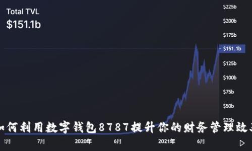 如何利用数字钱包8787提升你的财务管理效率