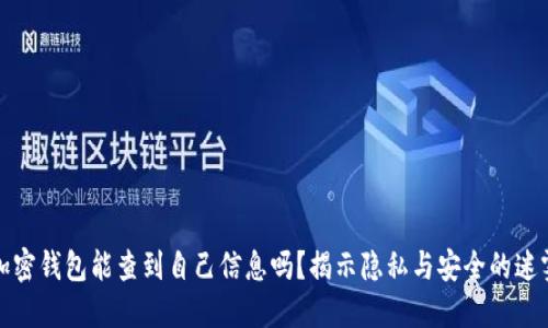 加密钱包能查到自己信息吗？揭示隐私与安全的迷雾