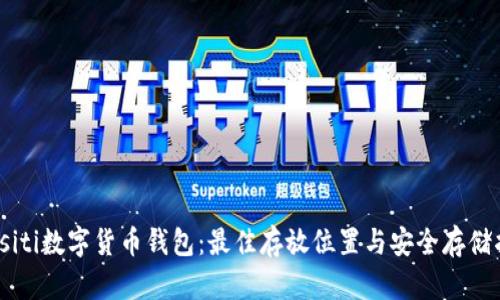 biasiti数字货币钱包：最佳存放位置与安全存储指南