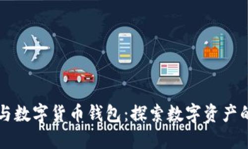 区块链猫与数字货币钱包：探索数字资产的新兴世界
