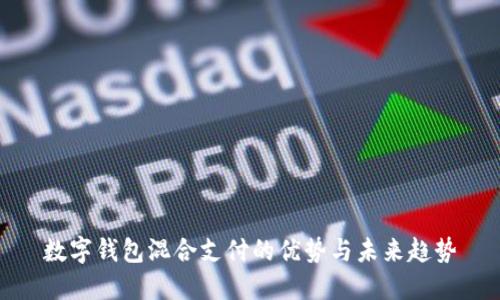 数字钱包混合支付的优势与未来趋势