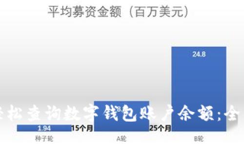 如何轻松查询数字钱包账户余额：全面指南