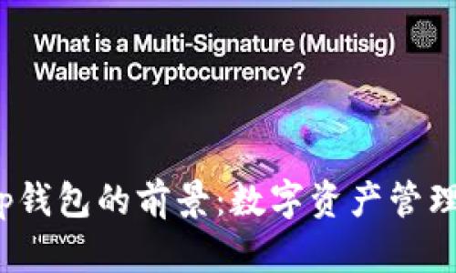 探讨t p钱包的前景：数字资产管理新趋势