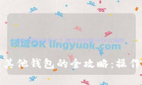数字人民币转入其他钱包的全攻略：操作步骤与注意事项