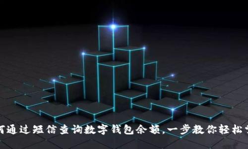 如何通过短信查询数字钱包余额，一步教你轻松掌握