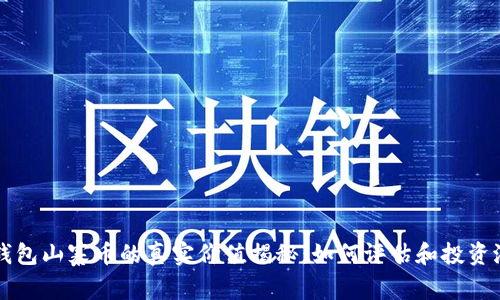 TP钱包山寨币的真实价值揭秘：如何评估和投资潜力