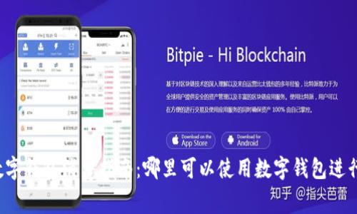 福州数字钱包消费指南：哪里可以使用数字钱包进行支付？